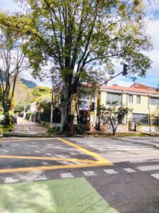 WhatsApp Image 2026-02-17 at 3.17.38 PM